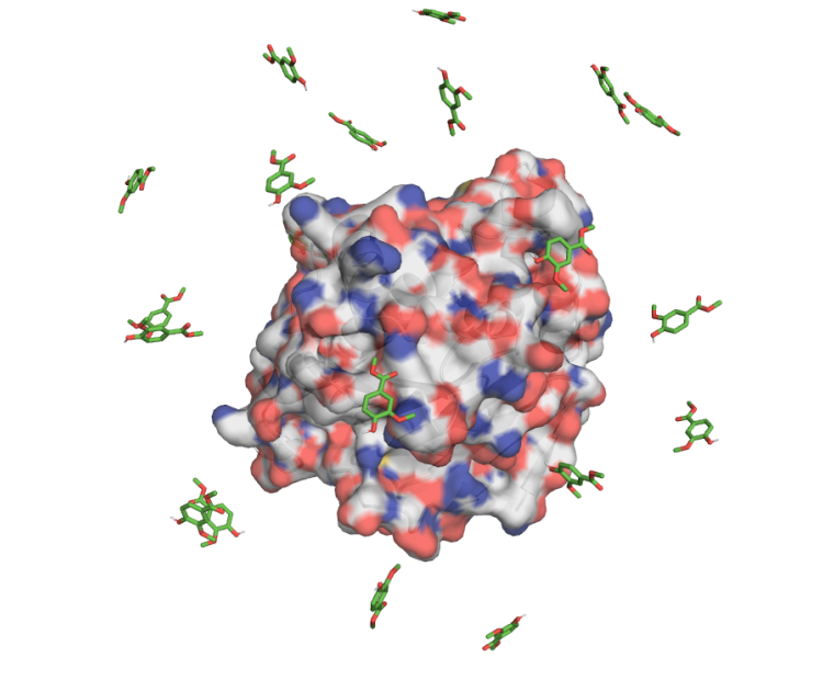 multiple-copy-association-studies-(mas)-as-a-tool-for-computer-aided-drug-design