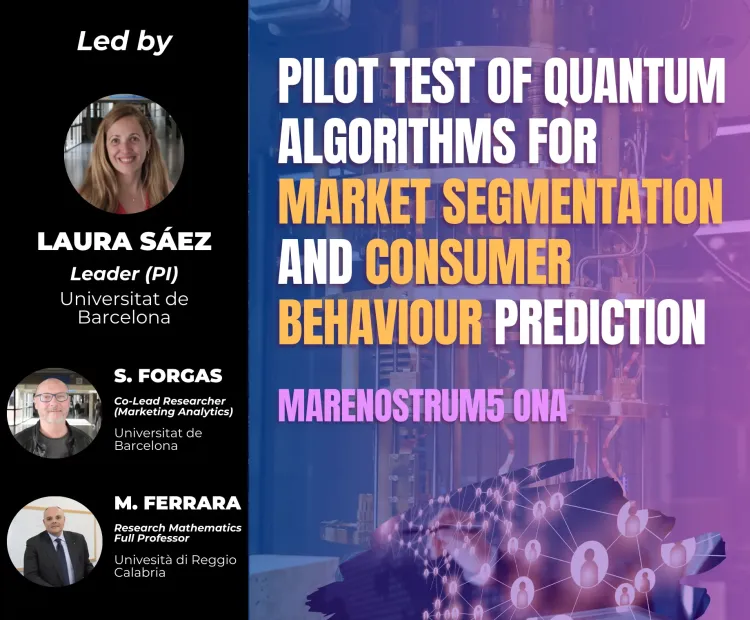pilot-test-of-quantum-algorithms-for-market-segmentation-and-consumer-behaviour-prediction