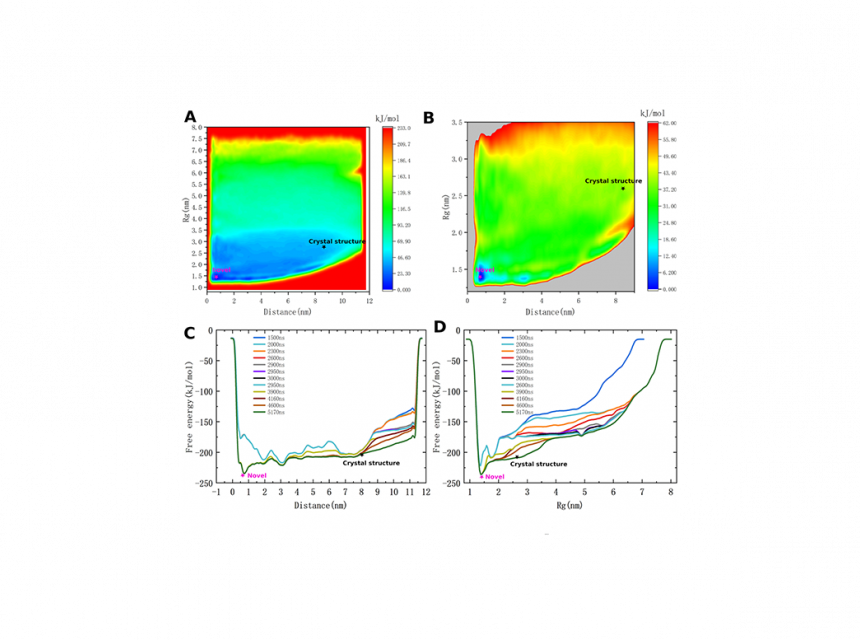 simulation-and-modeling-of-biosystems-with-applications-to-medicine-exploring-the-structural-diversity-of-the-myc-protein-and-its-implications-for-in-silico-design-of-anti-cancer-drugs