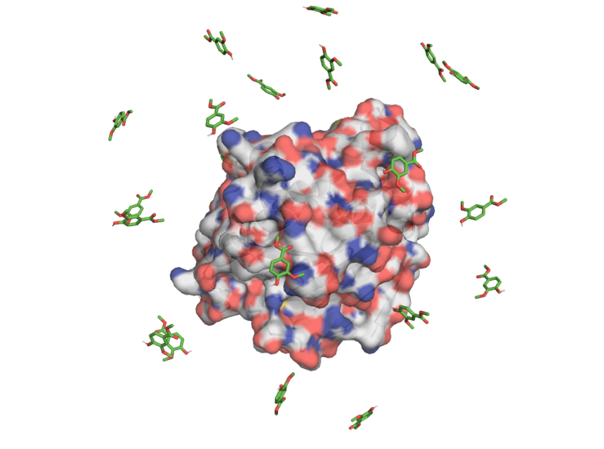 multiple-copy-association-studies-(mas)-as-a-tool-for-computer-aided-drug-design